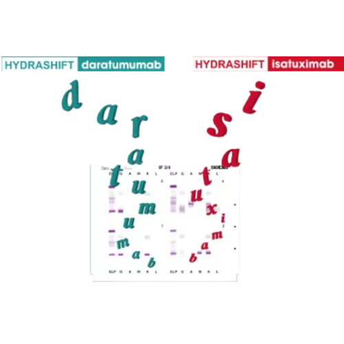Immunofiksacja białek surowicy z Daratumumabem i Isatuximabem